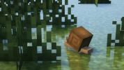 Picture_1.png