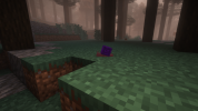 Picture_3.png