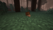 Picture_4.png