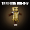 Training Dummy